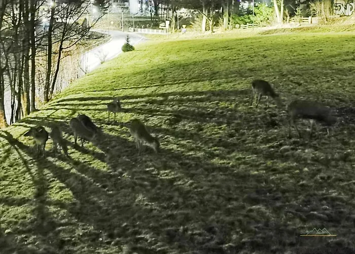 Budnicza Struga Z Sauna I Parkingiem - 5d *