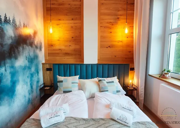 Budnicza Struga Z Sauna I Parkingiem - 5d *